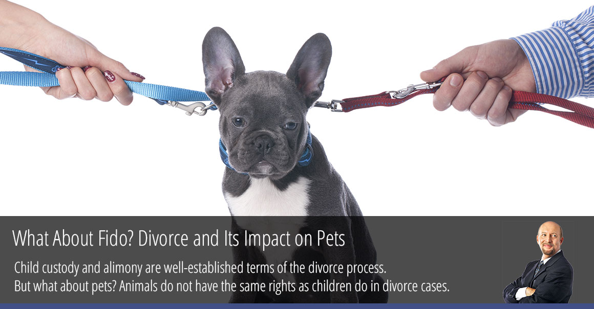 What About Fido? Divorce and Its Impact on Pets
